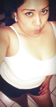 Appaloosakus uit Gelderland,Nederland